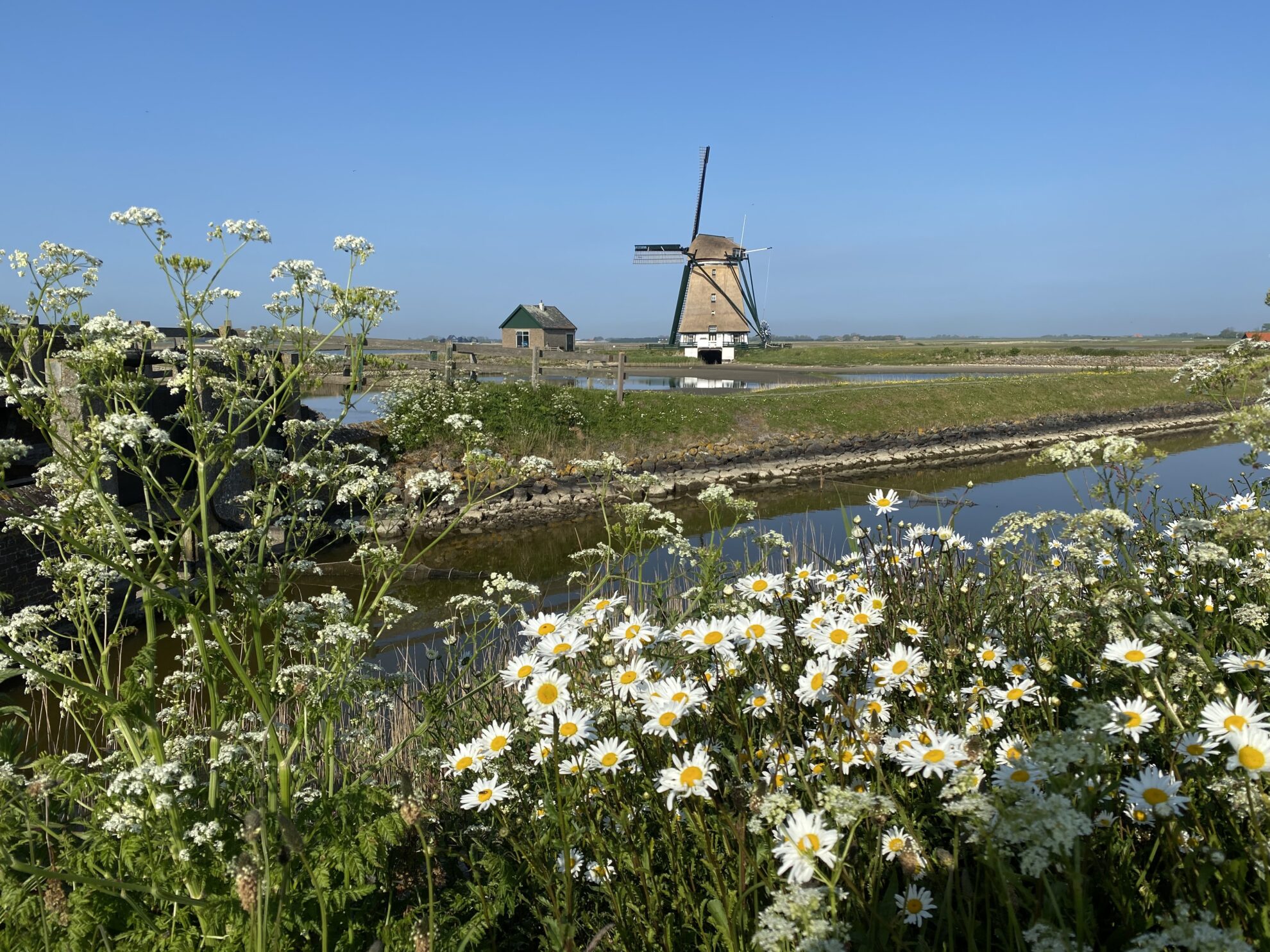 Mühle Texel © lebenssinne.de
