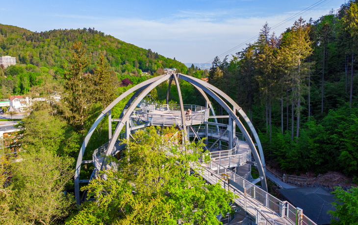 Baumwipfelpfad