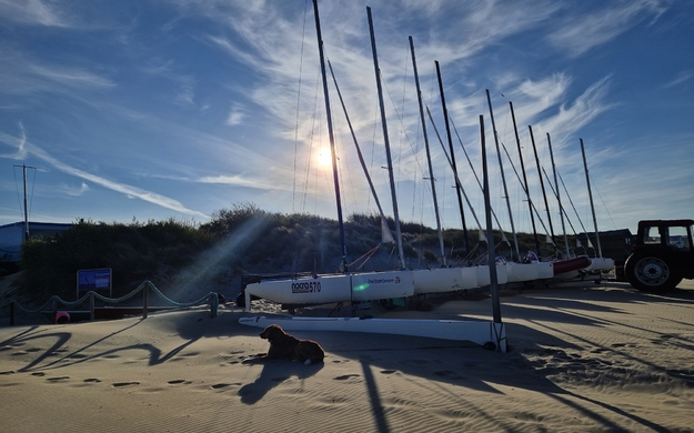 Texel
