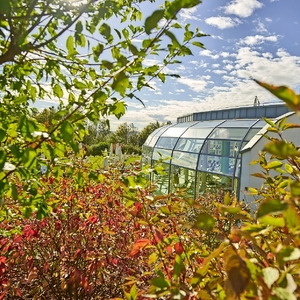 Therme